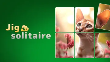 Jigsolitaire